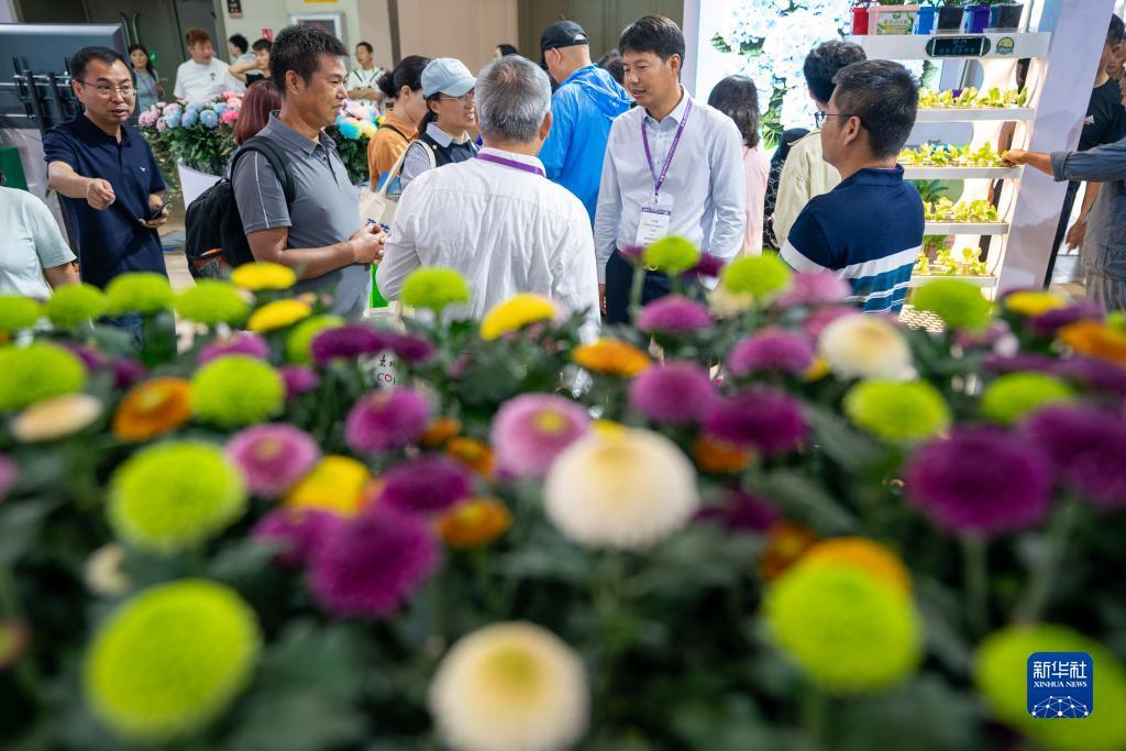 免费彩金领取
